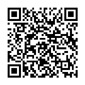 玄真派的人早就把自己当做掌门内定下来的亲传弟子了二维码生成