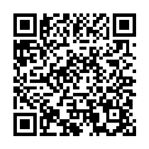 玄阳界珠绽放出的阳红色光芒已经变得十分璀璨二维码生成