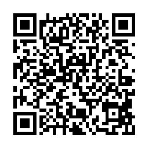 玄黄大陆的事情无极宗已经封闭了快二十年了吧二维码生成