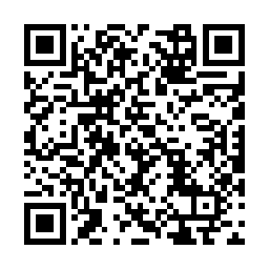 率先借用僵尸网络和分析程序对技术文本进行分析二维码生成