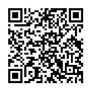 率先冲进来的人已经是快若闪电般一记钢鞭卷了过去二维码生成