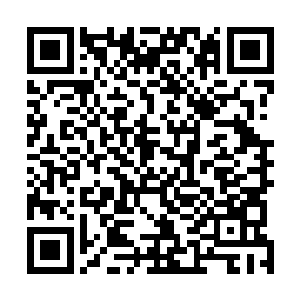 率先冲锋在前的苗毅一冲到山林边缘看清海边众人的形容二维码生成