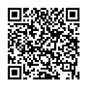 率先定制大小庄家联合成三十多仙家队伍来应对少梓他们二维码生成