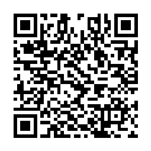 率先服食梦仙草的一批同乡会听说已经成长起来了二维码生成