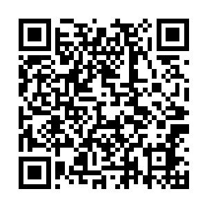 率领君主阁主力一刀双煞七星战将与战堂总部精锐二维码生成