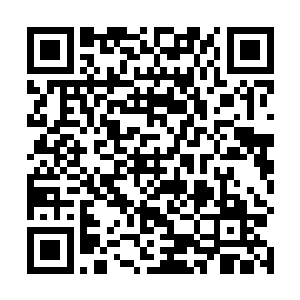 率领数十名城卫军一下子将景风和景沐沐二人包围起来二维码生成