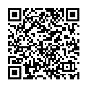 玉书真人脸上也浮现出一丝兴奋和迫不及待的表情二维码生成