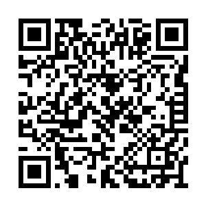 玉佛之中的第三颗冰珠及时释放出一股冰之灵气二维码生成