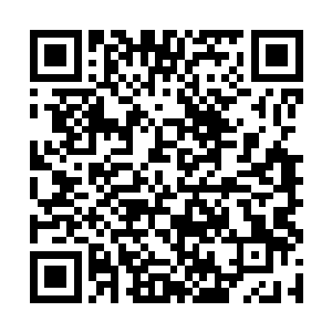 玉兰婷就迫不及待地询问起了杨辰在万妖界所见所闻二维码生成