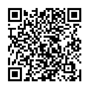 玉如梦只是以为他在星界走投无路才一怒之下投靠魔族二维码生成