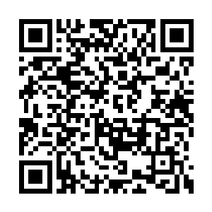 玉成子这一指包含的赫然是全部十二大道的力量二维码生成