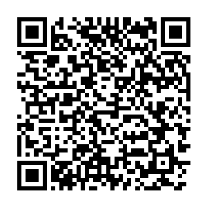 玉清公子等归来寻街的公子们一时间都感觉到自己已经被放逐到了天外二维码生成