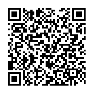 玉炎子联合西山名天寺和辛格达布拉专门跑到静县绑架白雯的目的二维码生成