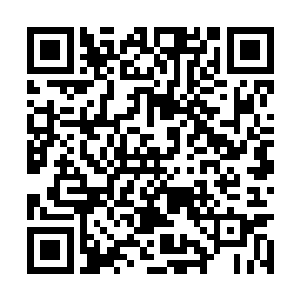 玉熙看到自己穿着一身大红色绣着鸳鸯戏水的嫁衣二维码生成