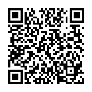 王三全和程氏又带着王祖生早早过来帮忙割麦子二维码生成