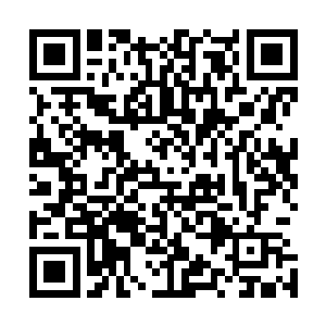 王世子一句话便让上一秒钟还义愤填膺的朴志轩彻底愣住了二维码生成