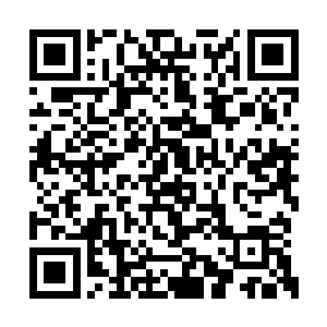 王世子专门给打电话有事相商可不是常见的事情二维码生成