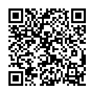 王世子可不知道自己这款系统带给袁振华的纠结二维码生成