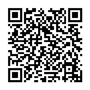 王世子手挽着颜晓夕静静的听着车上播放着的歌声二维码生成