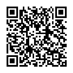 王世子正儿八经一番话估计是让徐晓华有些犯晕了二维码生成