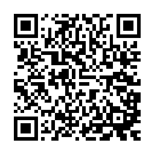 王世子突然做出这个决定其实只是因为飞机上自己保镖的几句话二维码生成