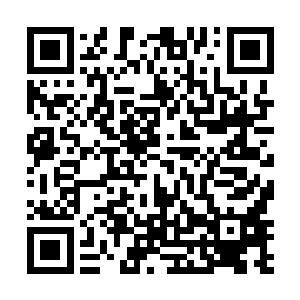 王世子竟然是个来自更高级文明的外星人培育长大的呢二维码生成