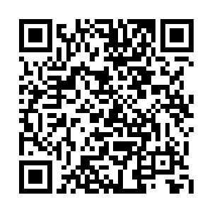 王世子童年时仅有的一些小趣事被老头翻了出来二维码生成