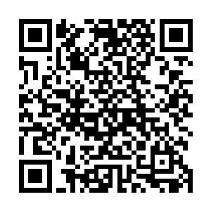 王世子这家伙是不是真是个超级科技天才还要等盖棺定论二维码生成
