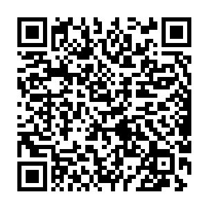 王世子都还没来得及完全适应每天有充足的时间去闻海风的悠闲生活二维码生成