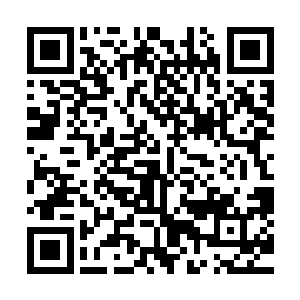 王九九这个在学校隐密档案上可以排在第一位的重点学生离开二维码生成