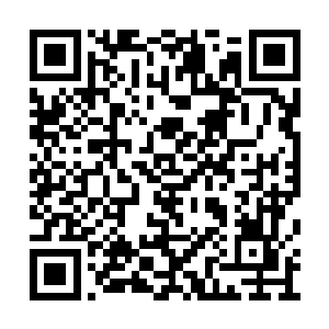 王云桐抬手捏了捏李溶月粉嫩的能掐出水来的脸二维码生成