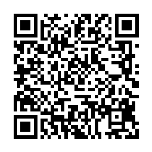 王五取得的成就在师叔面前不过是萤火比之皓月二维码生成