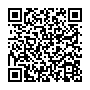 王仲凌穿着官服怒气冲冲的来到了醉仙居的后院二维码生成