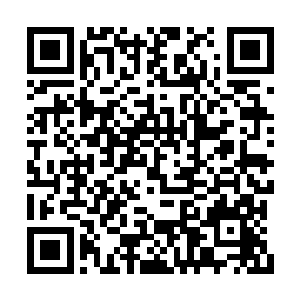 王伦带着焦挺走进了这家名唤济世堂的百年药铺二维码生成