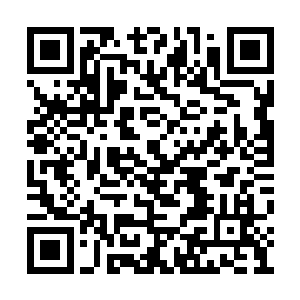 王兰轻而易举的就将那户收养你妹妹的人家杀掉二维码生成