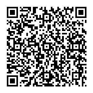 王勇的利爪带着第五代妖尸独有的青色光辉抓向第四代妖尸李特的第四代妖尸独有的绿色防御屏障二维码生成