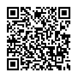 王叹之先是问了问孤独和寂寞有没有损失生存值二维码生成