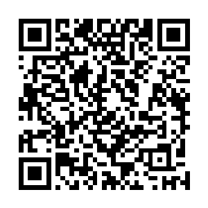 王士珍是彻底看到了自己的新军跟人家华夏革命军的差距二维码生成
