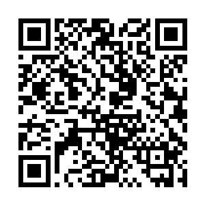 王大郎都是绷紧了脸色紧抿了双唇眼底满是失落情绪二维码生成