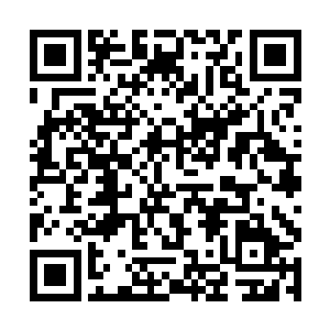 王如梦李小小和屠冷羽都好奇的看着他的耳朵和脖子二维码生成