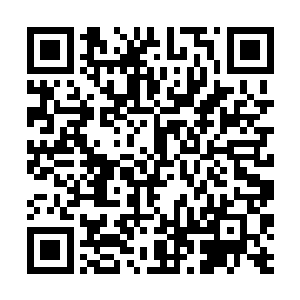 王妈忽然想起午时郭雪华是要叫林若溪一同扫墓的事二维码生成