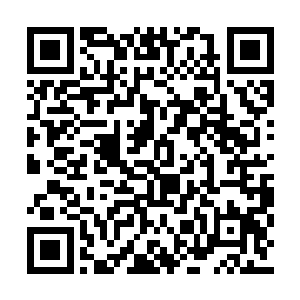 王妈见到林若溪一脸的气呼呼又宜喜宜嗔的样子二维码生成