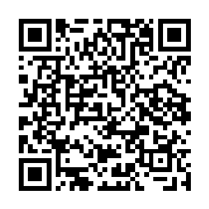 王子傲震惊地望着已经恢复原貌的许紫烟和许琴扬二维码生成