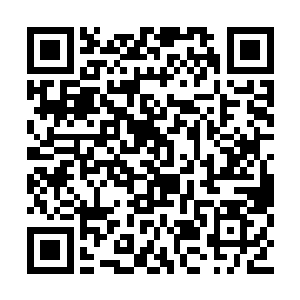 王子元看着那两个纸扎人脸上用红漆涂成的一团二维码生成