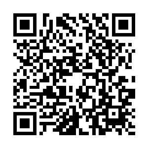 王子殿下虽然名义上是要他们跟着救护车去保护林王妃二维码生成
