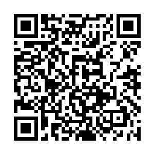 王宝也没有料到贪狼最后居然还是死在了夏天的手中二维码生成