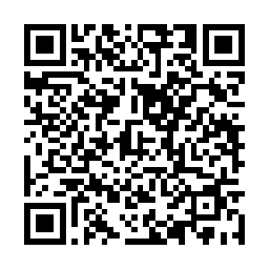 王宝当初可是直接将小马哥给关进夹缝监狱里面的二维码生成