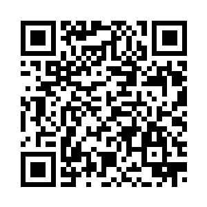 王家和金家的势力如何他不太清楚二维码生成