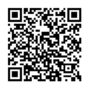 王家对于丁羽这个孩子的重视显然是超乎想象的二维码生成