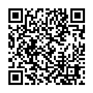 王家的大公子可是比五公子王洛年长至少一万多岁的二维码生成